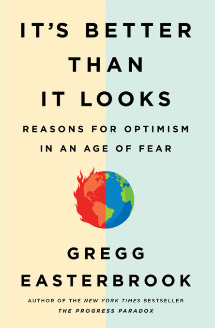 Better Than it Looks: Reasons for Optimism in an Age of Fear (book cover)